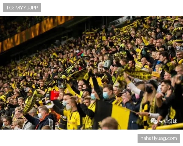 多特蒙德越踢越快，同时防守端问题显现，赛季稳定性面临考验